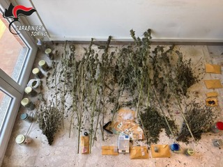 Droga e denaro sequestrati a Coassolo