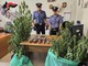 Sono in tutto cinque le persone arrestate dai carabinieri per droga Sono in tutto cinque le persone arrestate dai carabinieri per droga