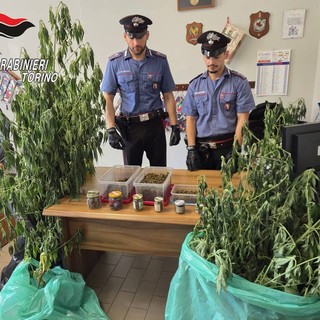 Sono in tutto cinque le persone arrestate dai carabinieri per droga