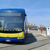 Torino accelera sulla transizione green: oltre 1,3 milioni dal Mase per bus elettrici e nuova illuminazione pubblica Torino accelera sulla transizione green: oltre 1,3 milioni dal Mase per bus elettrici e nuova illuminazione pubblica