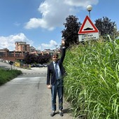 A Torino sfalci in ritardo per via della pioggia, erba alta che sembra una giungla