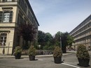 scuola Tommaseo con fioriere