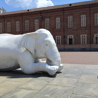 Piazzetta Reale: dopo il restauro, il bambino &quot;è tornato a leggere all'elefante&quot;