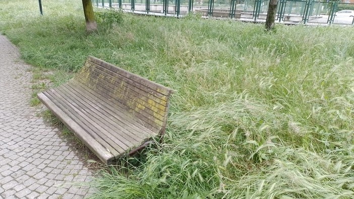 Emergenza 'verde' a Moncalieri, un milione di euro per il taglio dell'erba