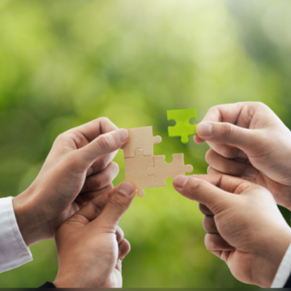 Eventi sostenibili a Torino: cresce la richiesta di meeting green