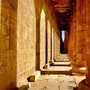 Egitto d'inverno: cultura, paesaggi ed esperienze di viaggio Egitto d'inverno: cultura, paesaggi ed esperienze di viaggio
