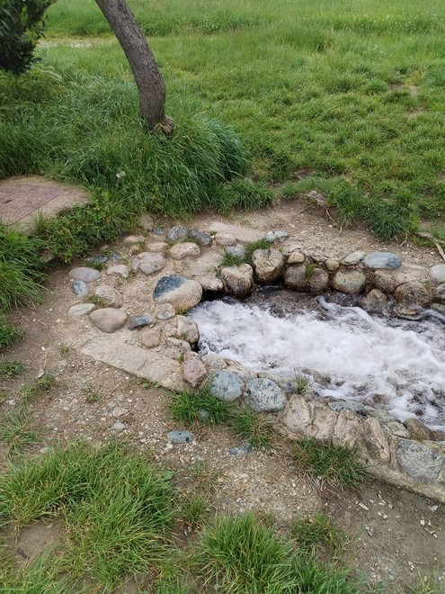 Rimessa in funzione l'elettropompa del parco della Pellerina