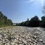 Il fiume Stura, ( foto scattate a fine giugno a Cuneo, zona delle Basse Sant'Anna)