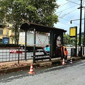 Fermate del bus vandalizzate e sporche, Gtt: &quot;Nel 2026 le puliremo di più&quot;