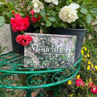 Moncalieri si prepara ad un weekend all'insegna del verde e della cultura