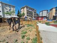 Tutto pronto per l'inaugurazione della Fattoria delle marionette