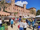 Fiorile e Premio della Rosa: Moncalieri raddoppia il suo appuntamento con il Green