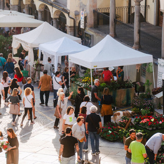 Ad aprile la primavera prende casa a Moncalieri con FLORÌ e Miel’é Ad aprile la primavera prende casa a Moncalieri con FLORÌ e Miel’é