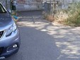 I cittadini protestano per le buche a Falchera I cittadini protestano per le buche a Falchera