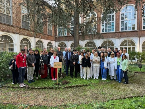 All'ospedale di Chieri, donato l'albero del Raggruppamento Carabinieri Biodiversità