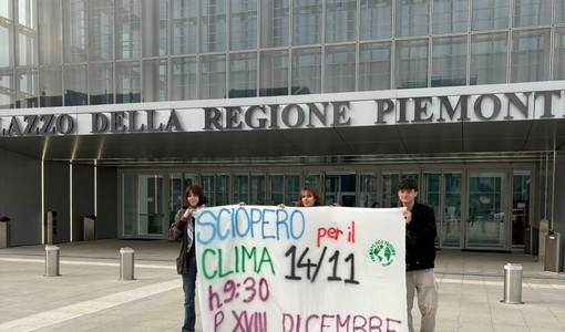I Fridays tornano in piazza tra Cop30 e Palestina: anche Torino protesta il 14 novembre I Fridays tornano in piazza tra Cop30 e Palestina: anche Torino protesta il 14 novembre