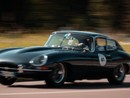 Auto d'epoca, macchine sportive e capolavori del design protagonisti di &quot;Festival Car&quot;