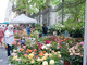 Flor, la mostra mercato che trasformerà il centro di Torino in un grande giardino