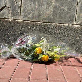 fiori alla stazione di brandizzo