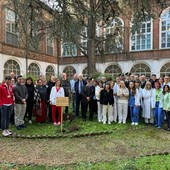 All'ospedale di Chieri, donato l'albero del Raggruppamento Carabinieri Biodiversità All'ospedale di Chieri, donato l'albero del Raggruppamento Carabinieri Biodiversità