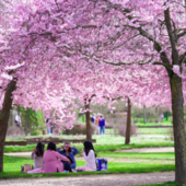 Immagine d'archivio Immagine d'archivio