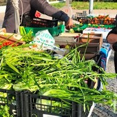 Dopo i bus, al Villaretto torna un banco di frutta e verdura