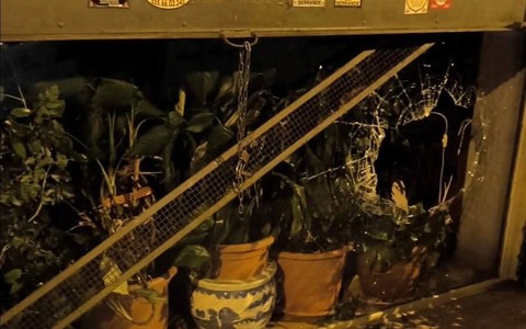 “Spaccate e furti”, a Parella i comitati chiedono più sicurezza