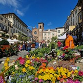 In diecimila nel weekend per la città dei fiori e Moncalieri in luce