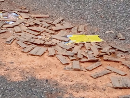 Immagine di repertorio Immagine di repertorio