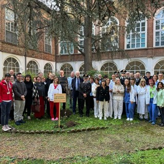 All'ospedale di Chieri, donato l'albero del Raggruppamento Carabinieri Biodiversità
