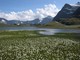 L’Unione Mondiale per la Conservazione della Natura conferma il Gran Paradiso nella Green List