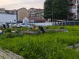 Novità in vista per i giardini di via Carrera