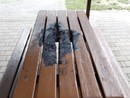 Raid vandalico al giardino Braille: i tavoli dati alle fiamme. Miano: “Sono degli idioti” Raid vandalico al giardino Braille: i tavoli dati alle fiamme. Miano: “Sono degli idioti”