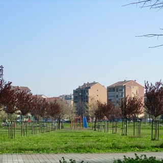 Foto tratta da pagina Facebook del comune di Grugliasco