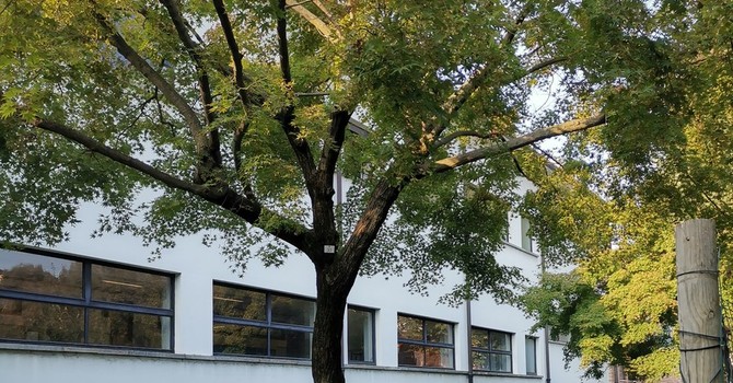 La scuola Leopardi La scuola Leopardi