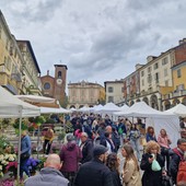 Moncalieri festeggia un &quot;Green Weekend&quot; da oltre 20 mila visitatori