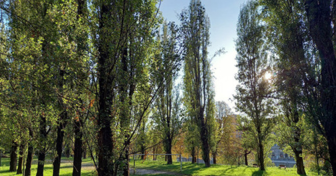 Fitness nei parchi: “Ai giardini Ginzburg serve una riqualificazione”