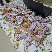 Nocciolini ed erbaluce, un connubio vincente per valorizzare Chivasso e il Canavese