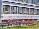 Imbrattati con scritte no vax i muri della media Gobetti di Beinasco Imbrattati con scritte no vax i muri della media Gobetti di Beinasco