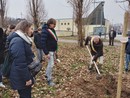 Nichelino onora il Giorno della Memoria con dieci nuovi alberi nel Giardino dei Giusti: uno intitolato a Gino Strada Nichelino onora il Giorno della Memoria con dieci nuovi alberi nel Giardino dei Giusti: uno intitolato a Gino Strada