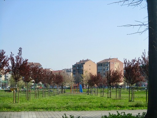 Foto tratta da pagina Facebook del comune di Grugliasco