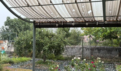 Il maltempo ha fatto anche danni poco fuori Torino Il maltempo ha fatto anche danni poco fuori Torino
