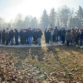 Giorno della Memoria, a Nichelino saranno piantati dieci nuovi alberi nel giardino dei Giusti