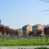 Foto tratta da pagina Facebook del comune di Grugliasco Foto tratta da pagina Facebook del comune di Grugliasco