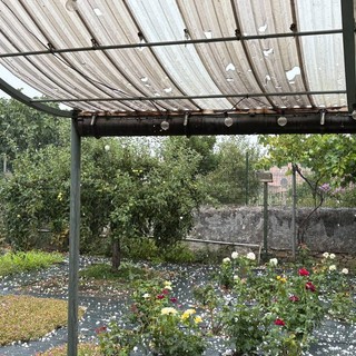 Il maltempo ha fatto anche danni poco fuori Torino Il maltempo ha fatto anche danni poco fuori Torino