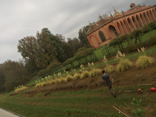 Grazie ai fondi Pnrr la Regione lancia un bando per quasi 100 giardinieri dei parchi storici del Piemonte