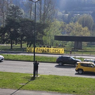 &quot;Giù le mani dagli orsi&quot;: animalisti in protesta contro la Lega riunita al Mauto