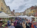 Moncalieri festeggia un "Green Weekend" da oltre 20 mila visitatori