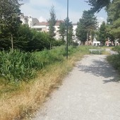 Giardino pubblico di Parella