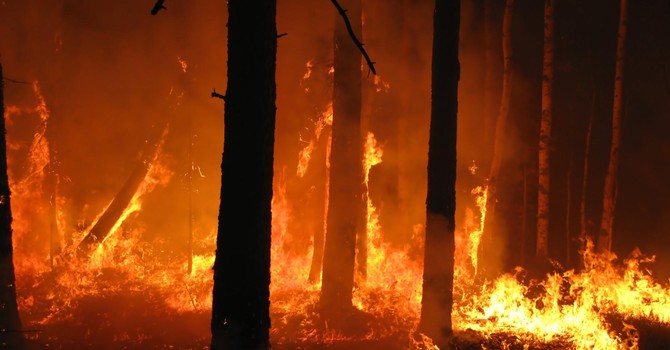 Il Piemonte da due mesi combatte contro gli incendi boschivi Il Piemonte da due mesi combatte contro gli incendi boschivi